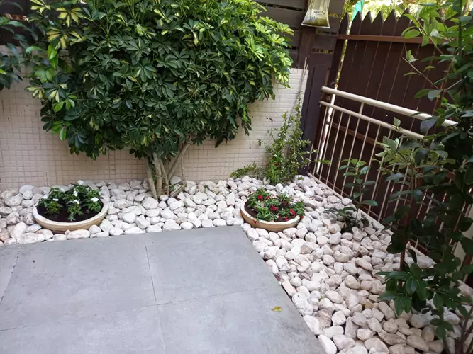 הקמת גינה פרטית 2